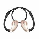 AWEI A885BL Wireless Sport Bluetooth Stereo Earphone with Mic, Support Handfree Call & NFC Function, for iPhone, Samsung, HTC, Sony and other Smartphones(Gold) - 2