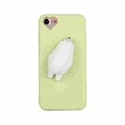 For iPhone 6 Plus & 6s Plus Green Background Lovely Bear Pattern Squeeze Relief Squishy Dropproof Protective Back Cover Case - 3