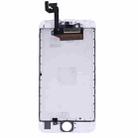 TFT LCD Screen with Frame for iPhone 6s (White) - 3