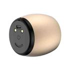 SARDiNE F1 Aluminium Alloy Stereo Wireless Bluetooth Speaker with Charging Dock, Support Hands-free(Gold) - 4