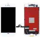 Original LCD Screen for iPhone 7 (White) - 8