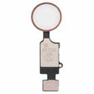 Home Button (5th gen) with Flex Cable for iPhone 8 Plus / 7 Plus / 8 / 7 (Rose Gold) - 1