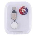 Home Button (5th gen) with Flex Cable for iPhone 8 Plus / 7 Plus / 8 / 7 (White) - 4