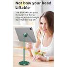 R-JUST PB02 Retractable 360-degree Rotating Magnetic Phone Holder Tablet PC Holder for All Mobile Phones / Tablet PCs, Height Range: 19-32.5cm(Green) - 3