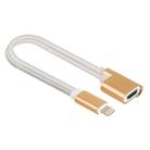 3.5mm & 8 Pin Female to 8 Pin Male Audio Adapter, Length: About 12cm(Gold) - 2