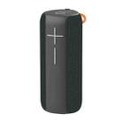 HOPESTAR P14 Pro Portable Outdoor Waterproof Wireless Bluetooth Speaker, Support Hands-free Call & U Disk & TF Card & 3.5mm AUX & FM (Black) - 1