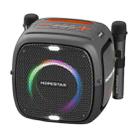 HOPESTAR Party One RGB Lighting Wireless Bluetooth Speaker (Grey) - 1