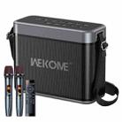 WEKOME D41 200W Outdoor Portable Strap Bluetooth Speaker - 1