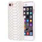 For  iPhone 8 & 7  Snakeskin Texture Paste Skin PC Protective Case(White) - 1