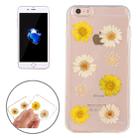 For  iPhone 8 & 7  Epoxy Dripping Pressed Real Dried Flower Soft Transparent TPU Protective Case - 1