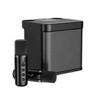 YS-203 Bluetooth Karaoke Speaker Wireless Microphone(Black) - 1
