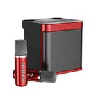 YS-203 Bluetooth Karaoke Speaker Wireless Microphone(Red) - 1