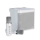 YS-203 Bluetooth Karaoke Speaker Wireless Microphone(Silver) - 1
