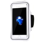 Sport Armband Case with Key Pocket, For  iPhone 8 & 7  Sport Armband Case with Key Pocket(White) - 2