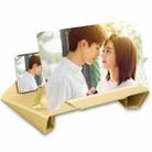 12 inch Leather Case 9D HD Mobile phone Screen Amplifier (Gold) - 1