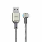 REMAX RC-024i Sury Leyo Series 1.2m 2.4A USB to 8 Pin Data Cable for iPhone, iPad(Silver) - 1