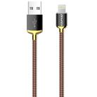 awei CL-25 0.3m 2.4A USB to 8 Pin Metal Fast Charging Cable for iPhone, iPad(Gold) - 1