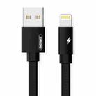 REMAX RC-094i 2m 2.4A USB to 8 Pin Aluminum Alloy Braid Fast Charging Data Cable (Black) - 1