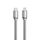 WK WDC-178 PD 20W USB-C/Type-C to 8 Pin Platinum Fast Charge Data Cable, Length 1m(Silver) - 1