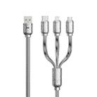 WK WDC-179 6A 3 in 1 USB to 8 Pin+USB-C/Type-C+Micro USB Platinum Fast Charge Data Cable, Length 1.2m (Silver) - 1