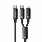 WK WDC-194 Pioneer Series 2 in 1 65W USB-C/Type-C to USB-C/Type-C+8 Pin Fast Charging Data Cable, Length: 1m(Black) - 1