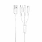 WK WDC-137 3 in 1 USB to Micro USB / 8 Pin + USB-C / Type-C 3A Fast Charing Cable(White) - 1