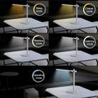 Momax QL1 2 in 1 Qi Standard Fast Charging Wireless Charger LED Desk Lamp, UK Plug - 3