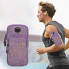 Universal 6.2 inch or Under Phone Zipper Double Bag Multi-functional Sport Arm Case with Earphone Hole(Purple) - 1