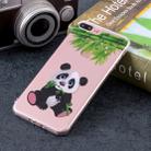 Panda Pattern Soft TPU Case for iPhone 8 Plus & 7 Plus - 1