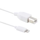 1m 8 Pin to Type-B Male Piano / Electronic Piano Cable MIDI Cable Adapter(White) - 1