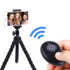 Mango Shape Universal Bluetooth 3.0 Remote Shutter Camera Control for IOS/Android - 1