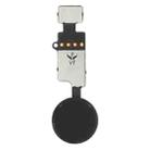 Home Button (3rd ) with Flex Cable (Not Supporting Fingerprint Identification) for iPhone 8 Plus / 7 Plus / 8 / 7(Black) - 2