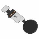 Home Button (3rd ) with Flex Cable (Not Supporting Fingerprint Identification) for iPhone 8 Plus / 7 Plus / 8 / 7(Black) - 3