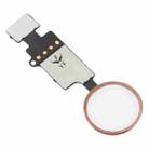 Home Button (3rd ) with Flex Cable (Not Supporting Fingerprint Identification) for iPhone 8 Plus / 7 Plus / 8 / 7(Pink) - 3