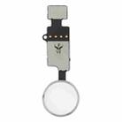 Home Button (3rd ) with Flex Cable (Not Supporting Fingerprint Identification) for iPhone 8 Plus / 7 Plus / 8 / 7(Silver) - 1