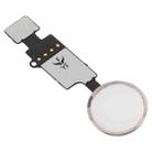 Home Button (3rd ) with Flex Cable (Not Supporting Fingerprint Identification) for iPhone 8 Plus / 7 Plus / 8 / 7(Silver) - 3