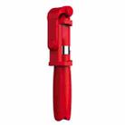 2 in 1 Foldable Bluetooth Shutter Remote Selfie Stick Tripod for iPhone and Android Phones(Red) - 1