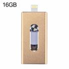 RQW-02  3 in 1 USB 2.0 & 8 Pin & Micro USB 16GB Flash Drive(Gold) - 1