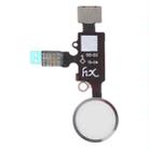 New Design Home Button (2 nd ) with Flex Cable for iPhone 8 Plus / 7 Plus / 8 / 7(Silver) - 1