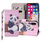 Panda Pattern Colored Drawing Horizontal Flip Leather Case for iPhone XS Max, with Holder & Card Slots & Wallet & Lanyard - 1