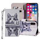 Cat In The Mirror Pattern Colored Drawing Horizontal Flip Leather Case for iPhone XS Max, with Holder & Card Slots & Wallet & Lanyard - 1