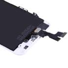 10 PCS TFT LCD Screen for iPhone SE with Digitizer Full Assembly (White) - 5
