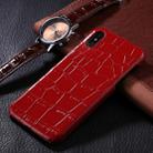 For iPhone X / XS Crocodile Texture Paste Protective Back Cover Case (Red) - 1