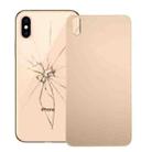 Glass Battery Back Cover for iPhone X(Gold) - 1