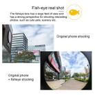 Mobile Phone Lens Wide Angle Fisheye Macro Telephoto SLR Phone Case for iPhone XS Max - 8