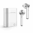 D012 TWS Bluetooth 5.0 Wireless Bluetooth Earphone with Charging Box, Support Voice Prompt & Power Display & HD Call(Silver) - 1