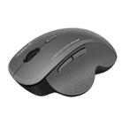 iMICE G6 Wireless Mouse 2.4G Office Mouse 6-button Gaming Mouse(Grey) - 1