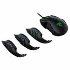 Razer Naga Trinity 16000 DPI Optical 19-keys Programmable Wired Mouse - 1