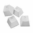 Razer 104 Keys PBT Backlit Keycaps for Mechanical Keyboard (Silver) - 1