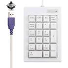 DX-21A 21-keys USB Wired Mechanical Black Shaft Mini Numeric Keyboard(White) - 1